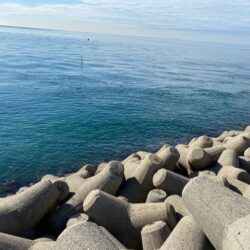 日中のテトラ帯でチヌ狙い